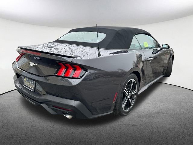 Used 2024 Ford Mustang Premium RWD image 12