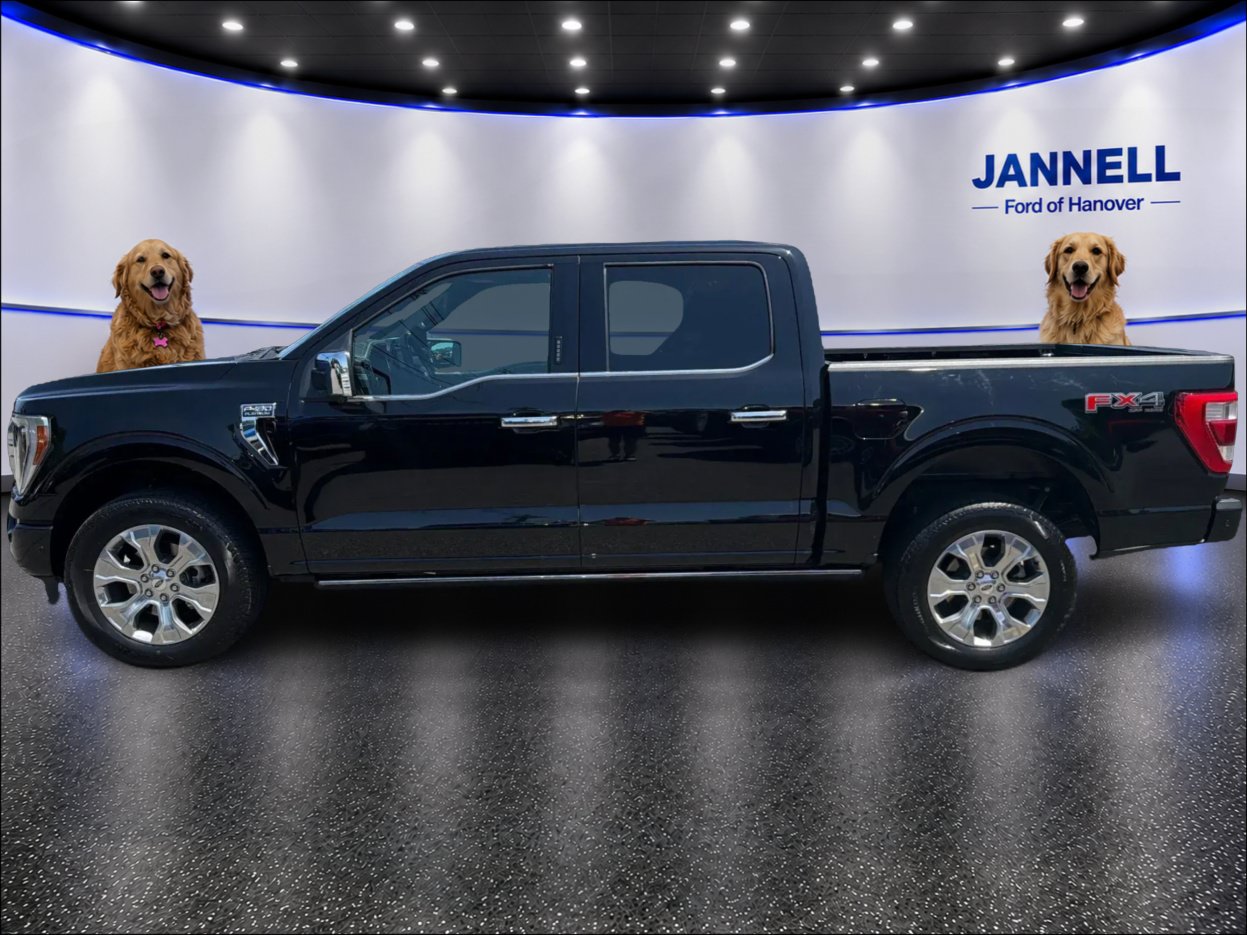 Used 2023 Ford F150 Platinum w/ Equipment Group 701A High AWD/4WD image 9