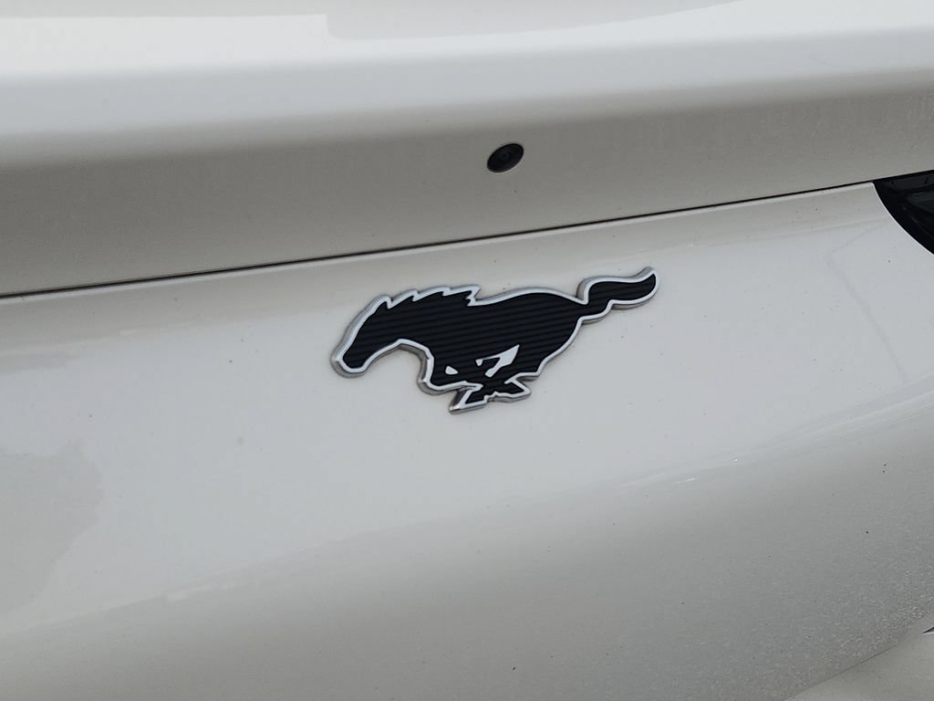 Used 2024 Ford Mustang Mach-E Premium AWD/4WD image 29