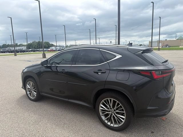 Certified 2022 Lexus NX 350h AWD w/ Vision Package image 15