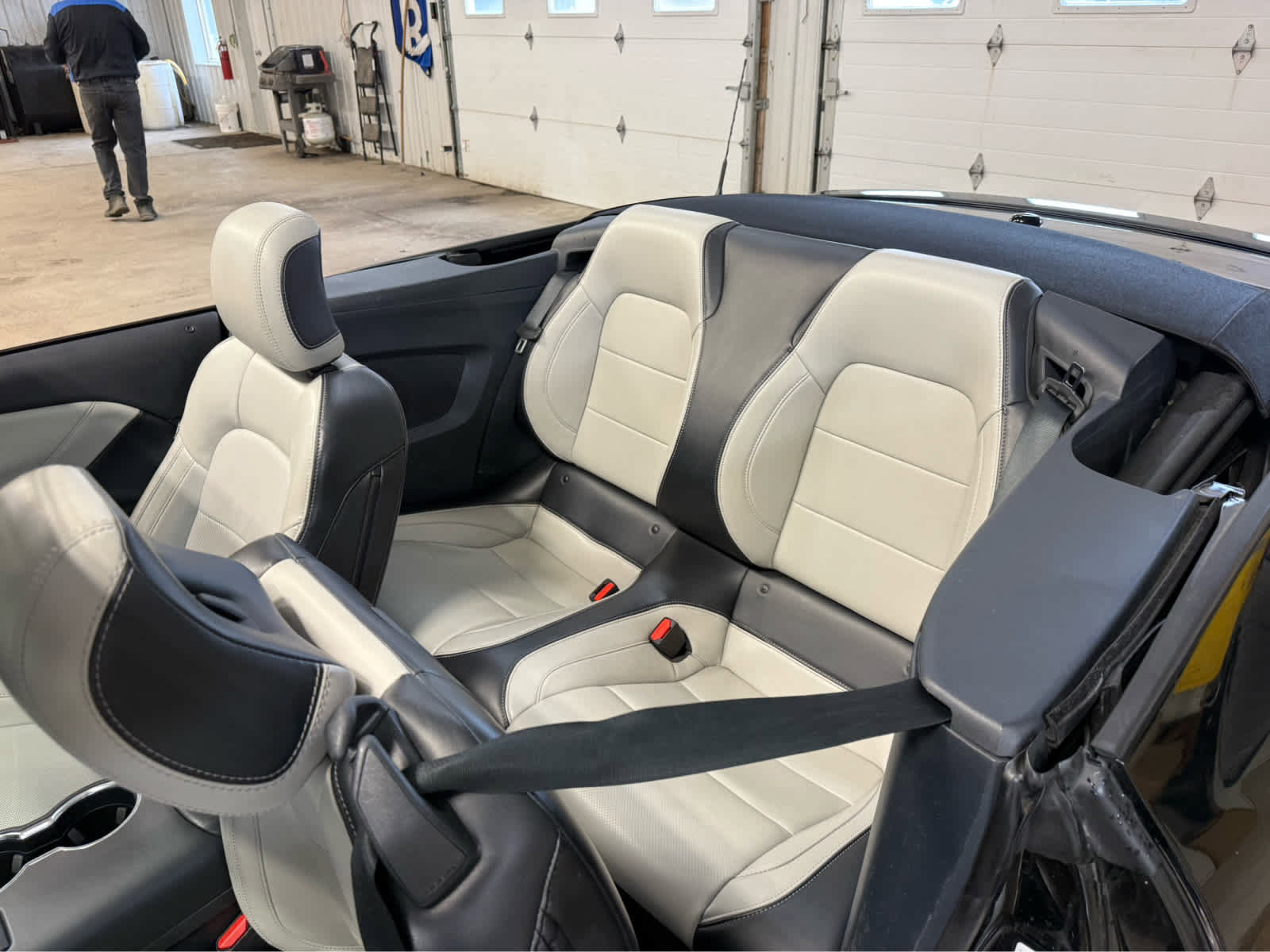 Used 2024 Ford Mustang Premium image 16