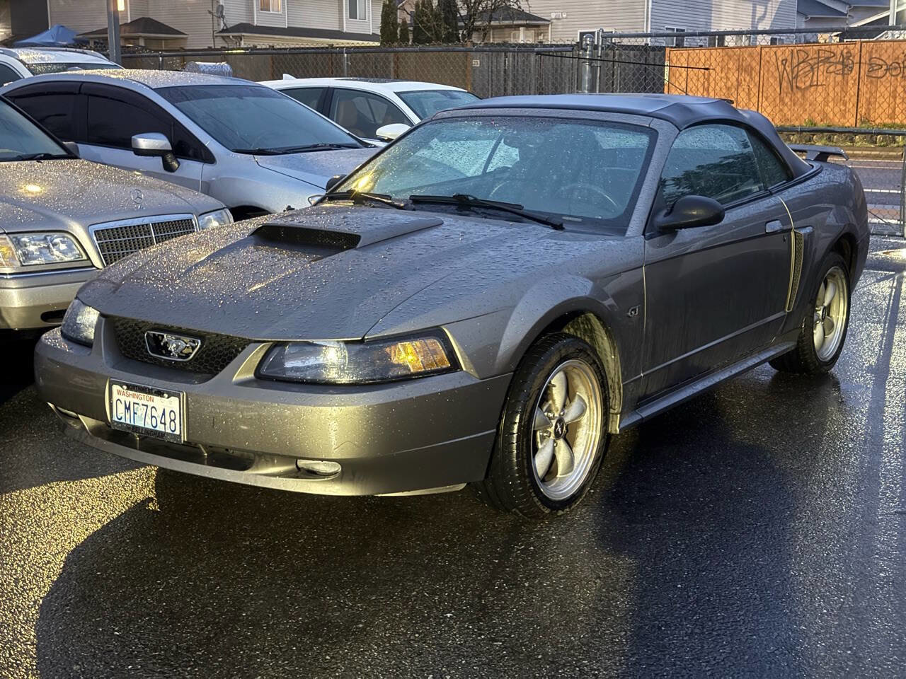 Used 2002 Ford Mustang GT image 1