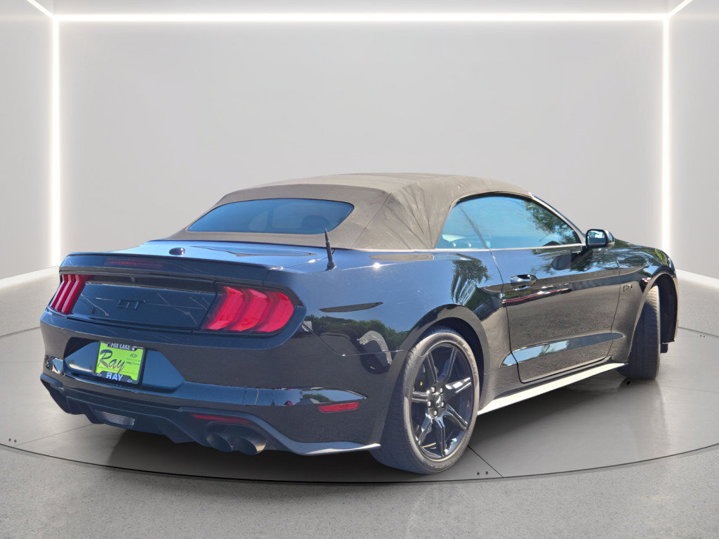 Used 2019 Ford Mustang GT Premium w/ Equipment Group 401A RWD image 10