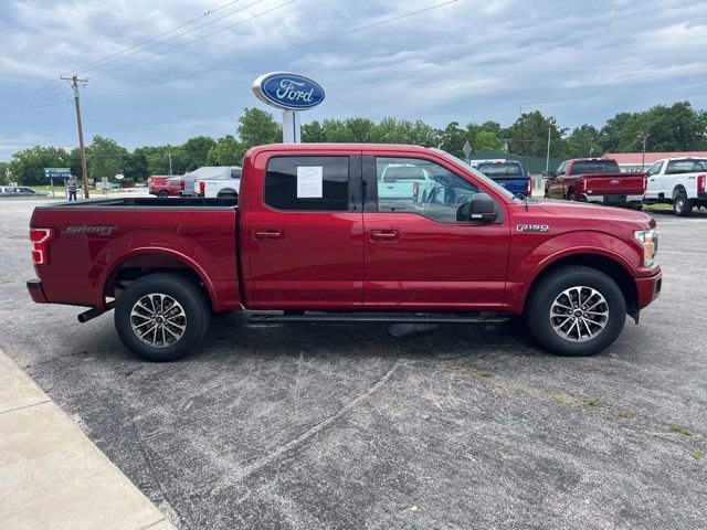 Used 2019 Ford F150 XLT w/ Equipment Group 302A Luxury AWD/4WD image 4