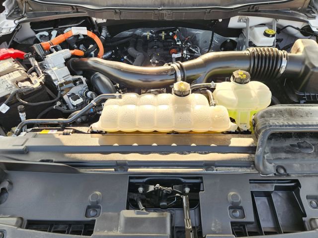 Used 2025 Ford F150 XLT w/ Equipment Group 301A Standard AWD/4WD image 31