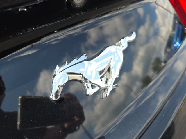 Used 2016 Ford Mustang Premium RWD image 31
