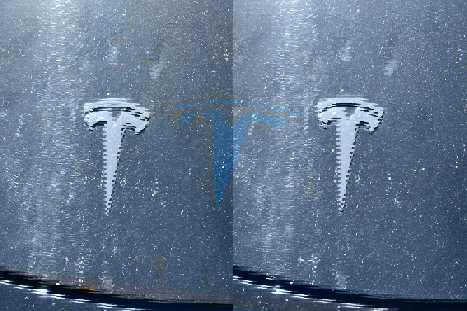 Used 2020 Tesla Model Y Performance image 13