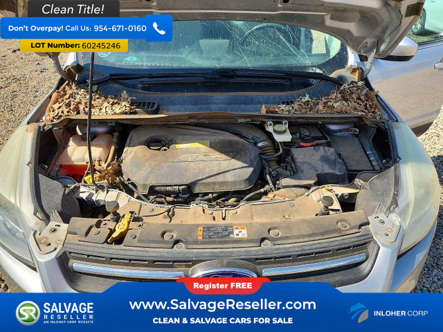 Used 2014 Ford Escape SE w/ Equipment Group 201A FWD image 16