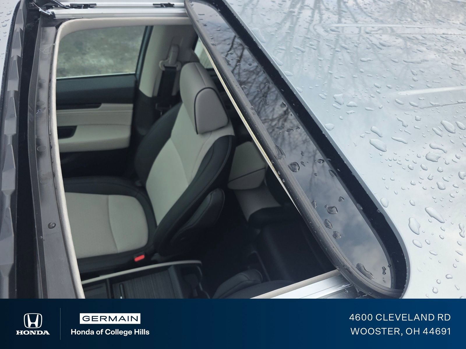 New 2026 Honda Odyssey Elite image 4