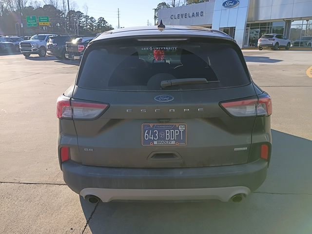 Used 2020 Ford Escape SE image 6