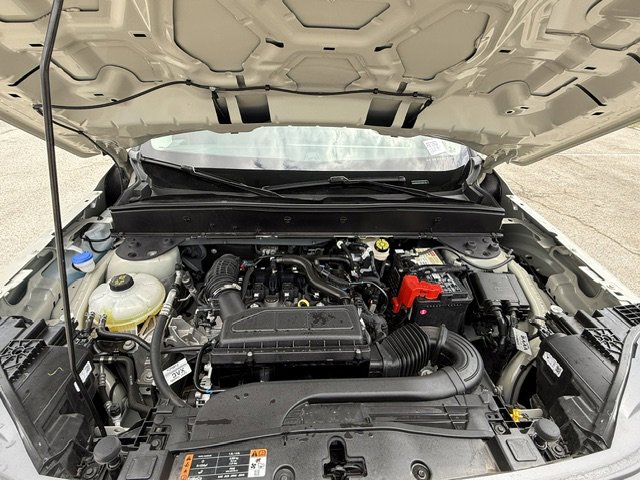 Used 2025 Ford Bronco Sport Big Bend w/ Convenience Package image 8