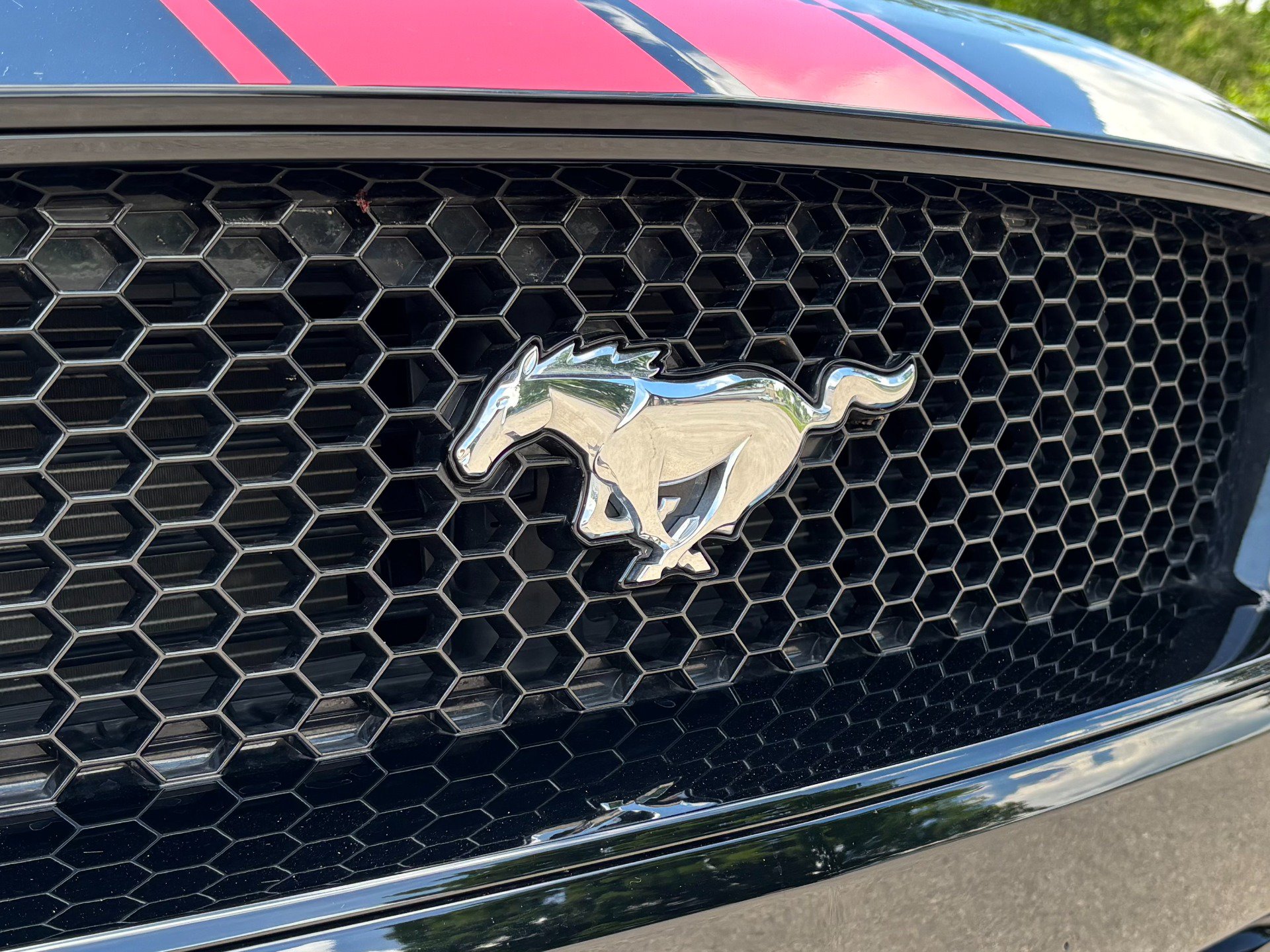 Used 2020 Ford Mustang GT Premium w/ Equipment Group 401A RWD image 66