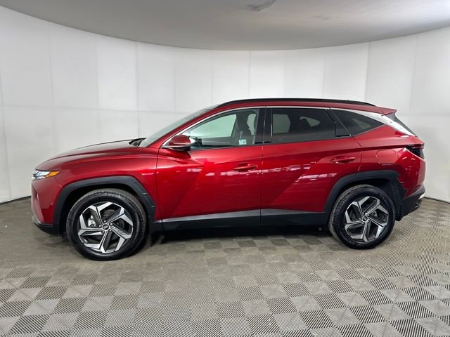 Used 2024 Hyundai Tucson Limited image 6