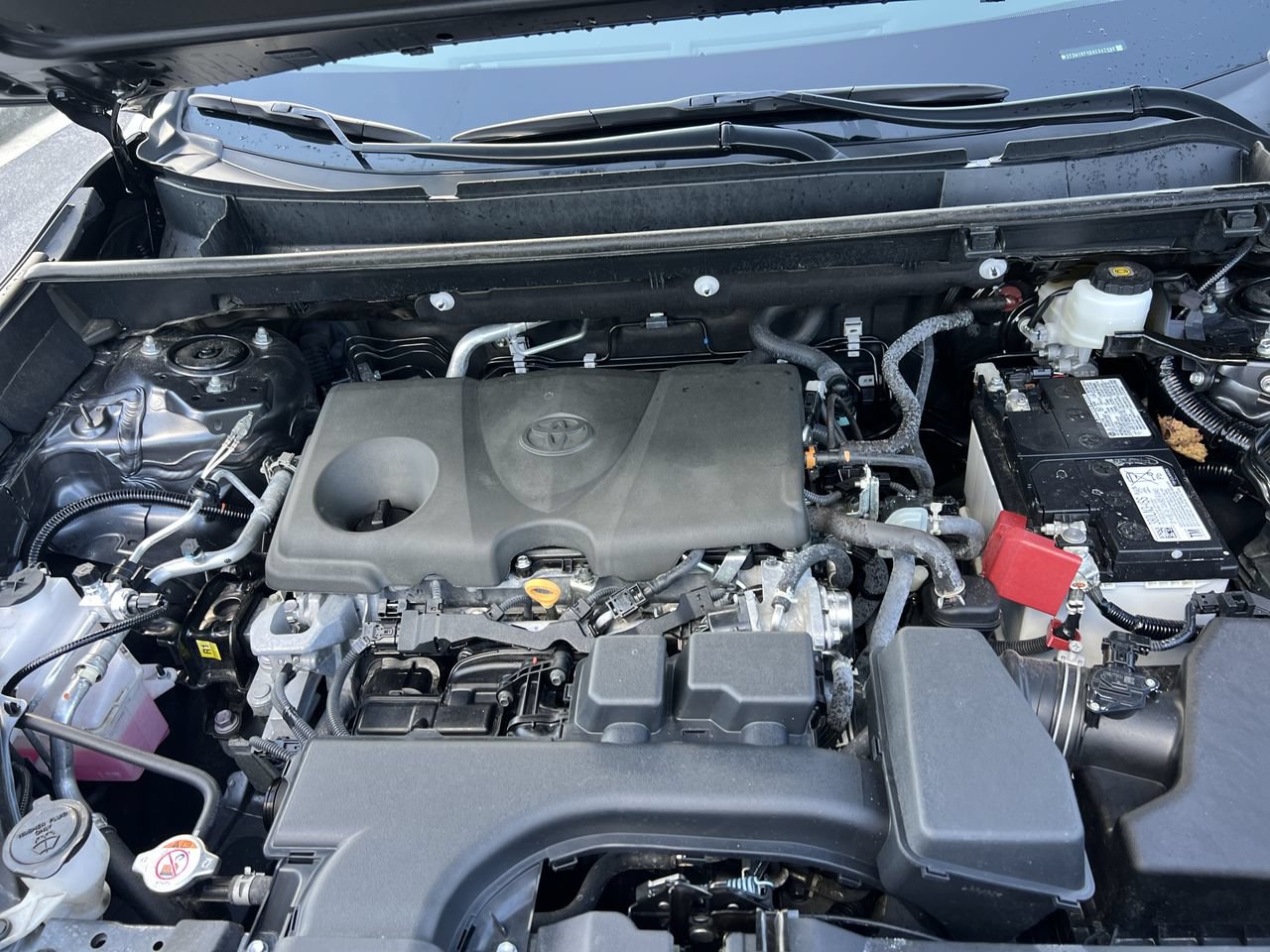 Used 2025 Toyota RAV4 XLE w/ Convenience Package FWD image 35