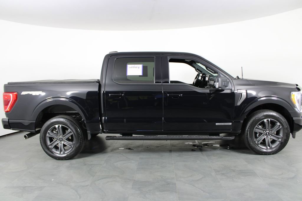 Used 2023 Ford F150 XLT w/ Equipment Group 302A High image 12