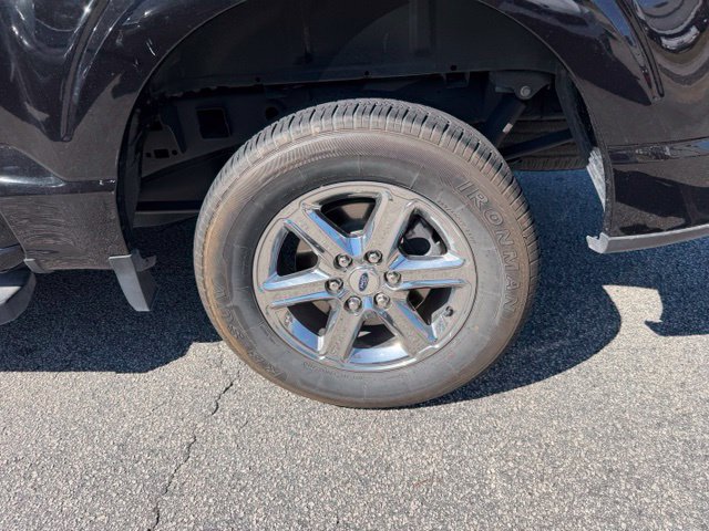Used 2025 Ford F150 XLT w/ Equipment Group 301A Standard RWD image 5