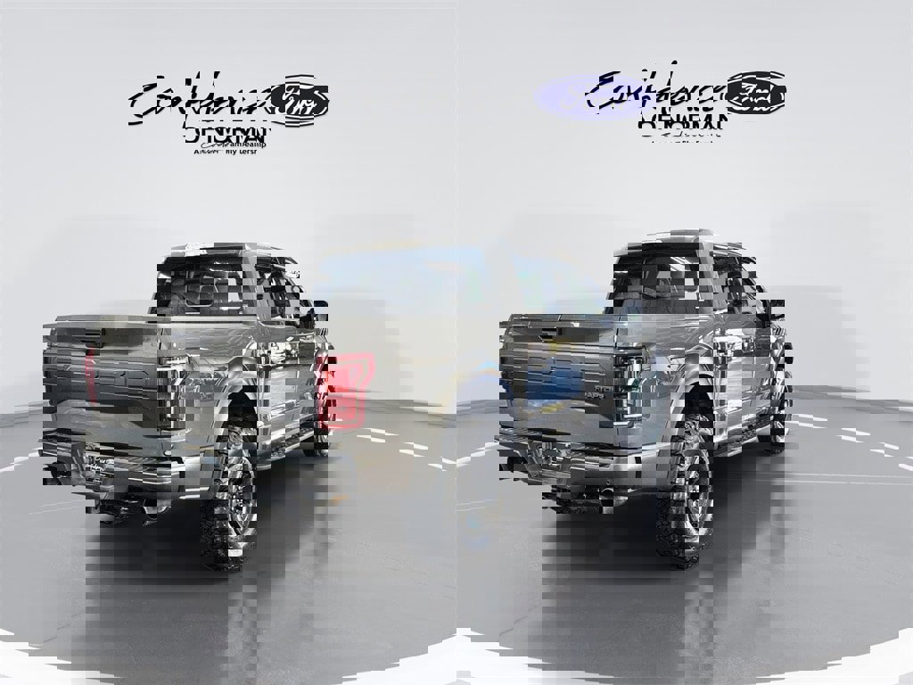 Used 2018 Ford F150 Raptor w/ Equipment Group 802A Luxury image 8