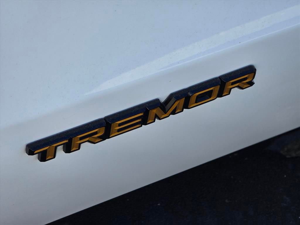 Used 2025 Ford Expedition Tremor image 14