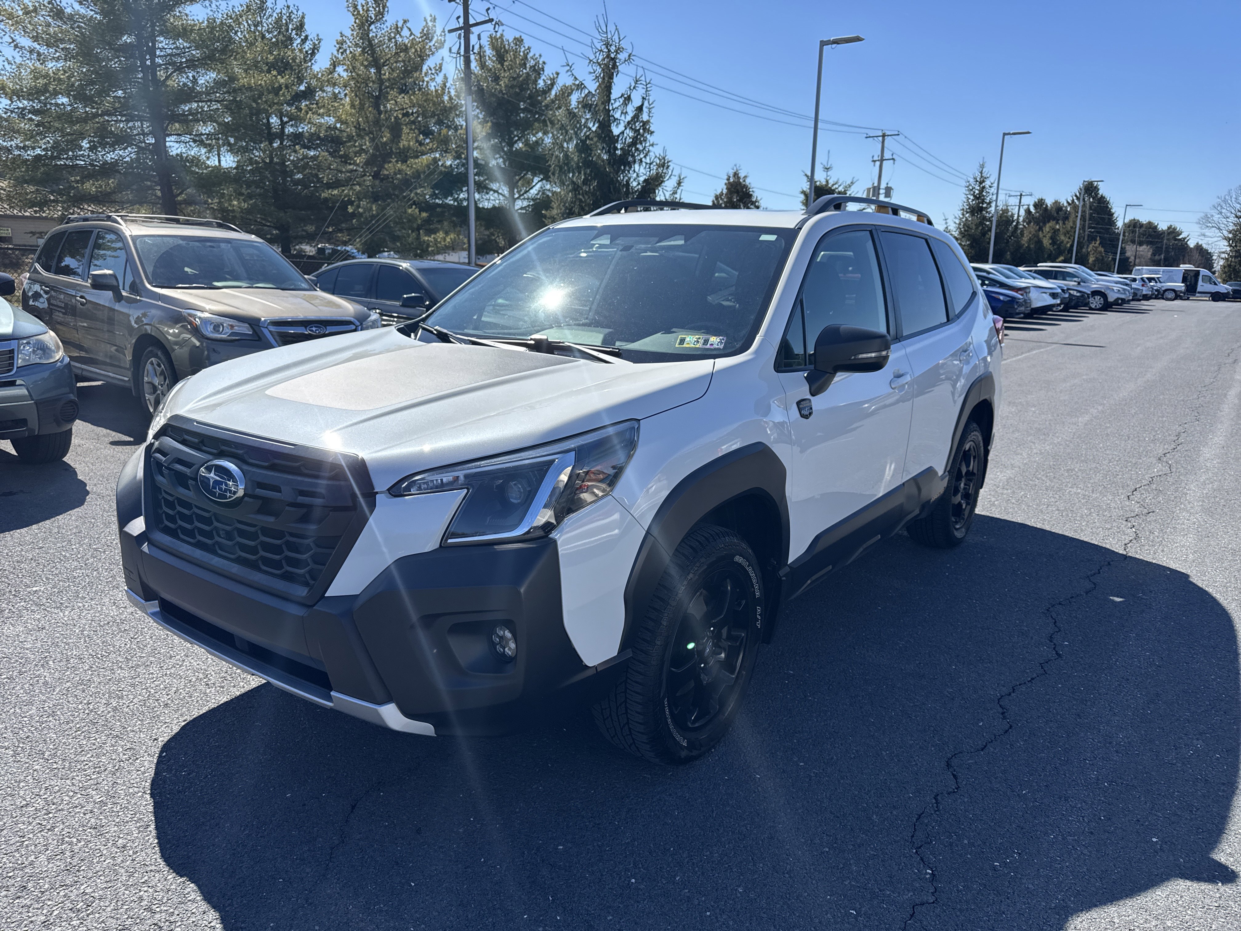 Used 2023 Subaru Forester Wilderness image 4