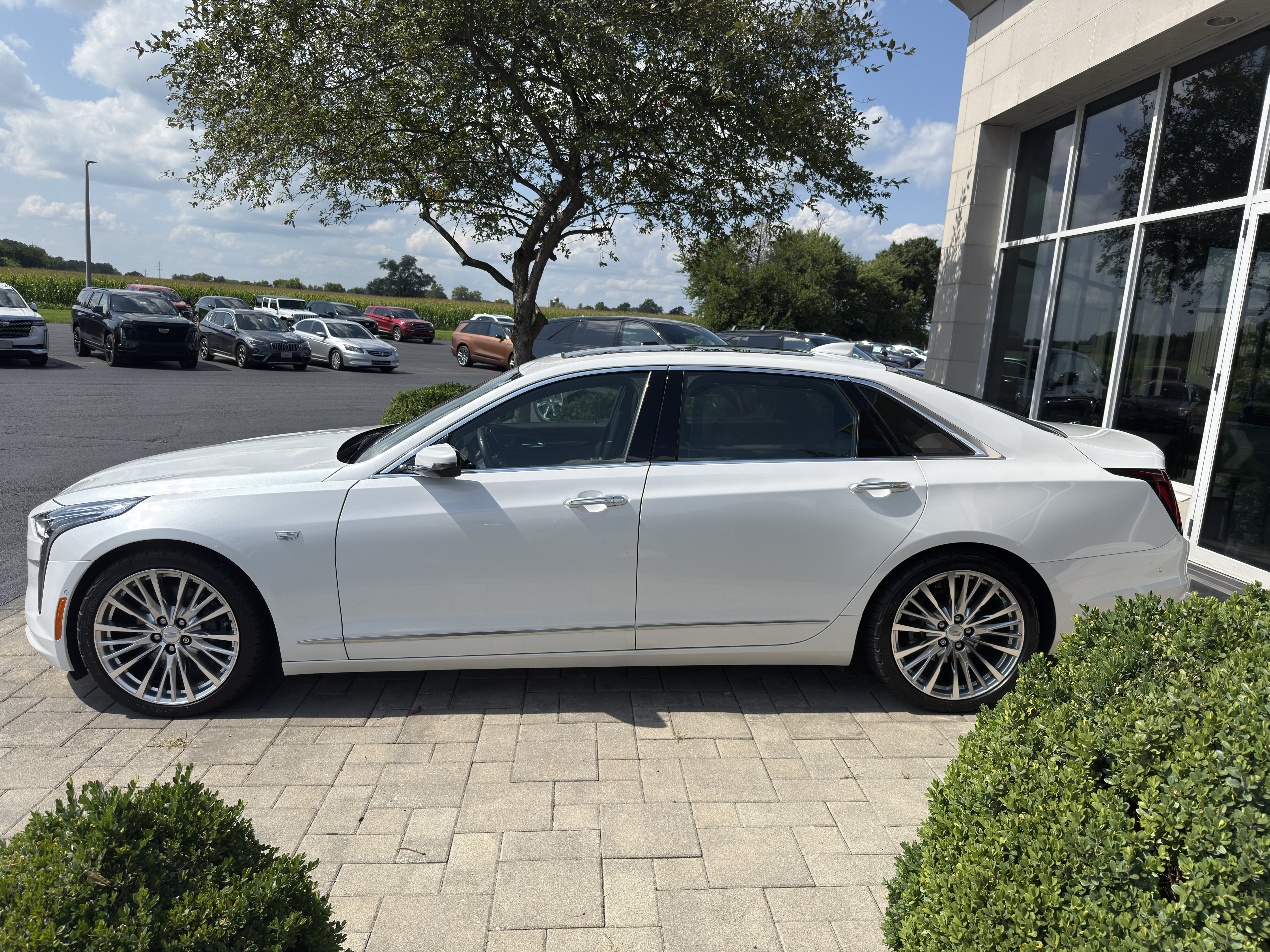 Used 2020 Cadillac CT6 Premium Luxury AWD/4WD image 4