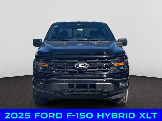 New 2025 Ford F150 XLT w/ Equipment Group 303A High image 8