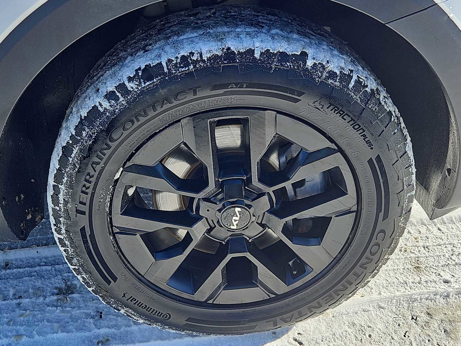 Used 2023 Kia Telluride SX Prestige X-Pro image 10