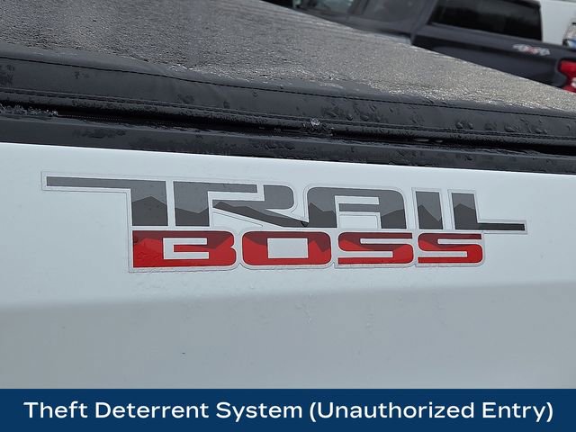 Used 2022 Chevrolet Silverado 1500 Custom Trail Boss w/ LPO, Dark Essentials Package image 30