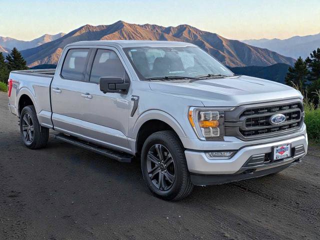 Certified 2023 Ford F150 XLT w/ Equipment Group 302A High AWD/4WD image 8