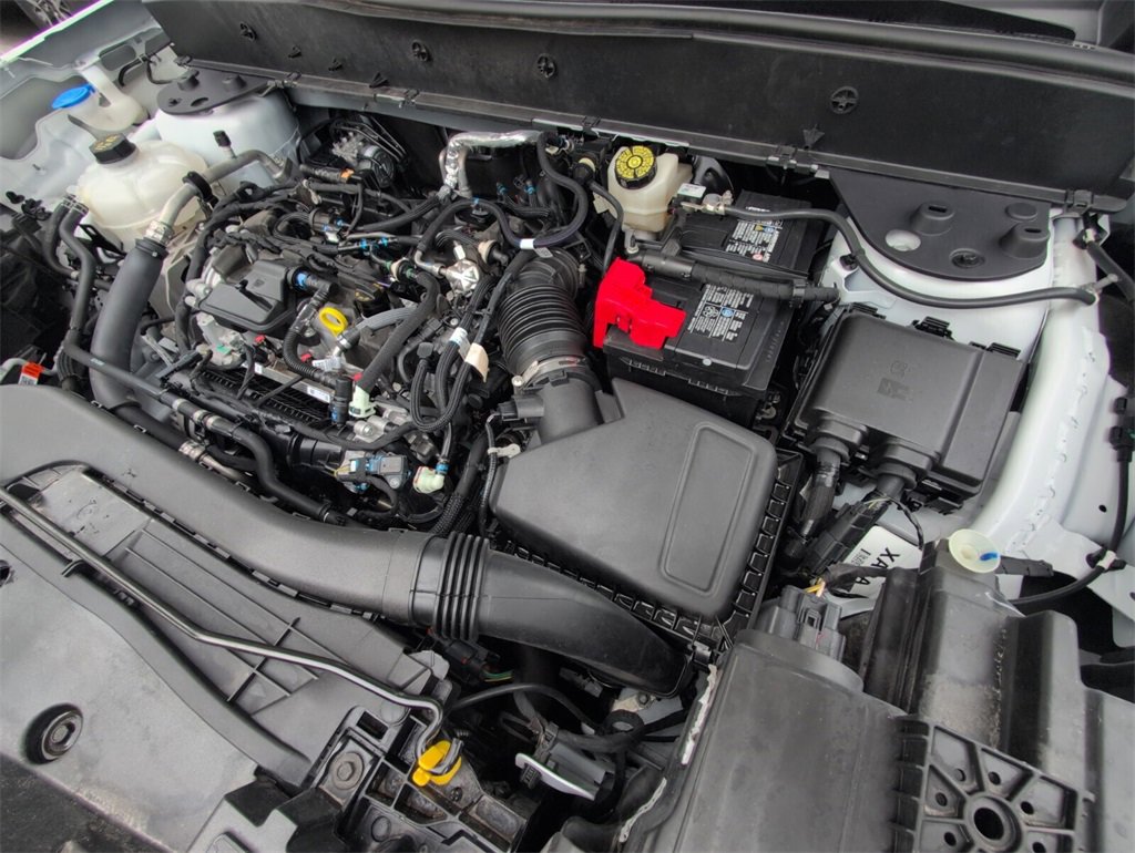 Used 2024 Ford Bronco Sport Big Bend image 18