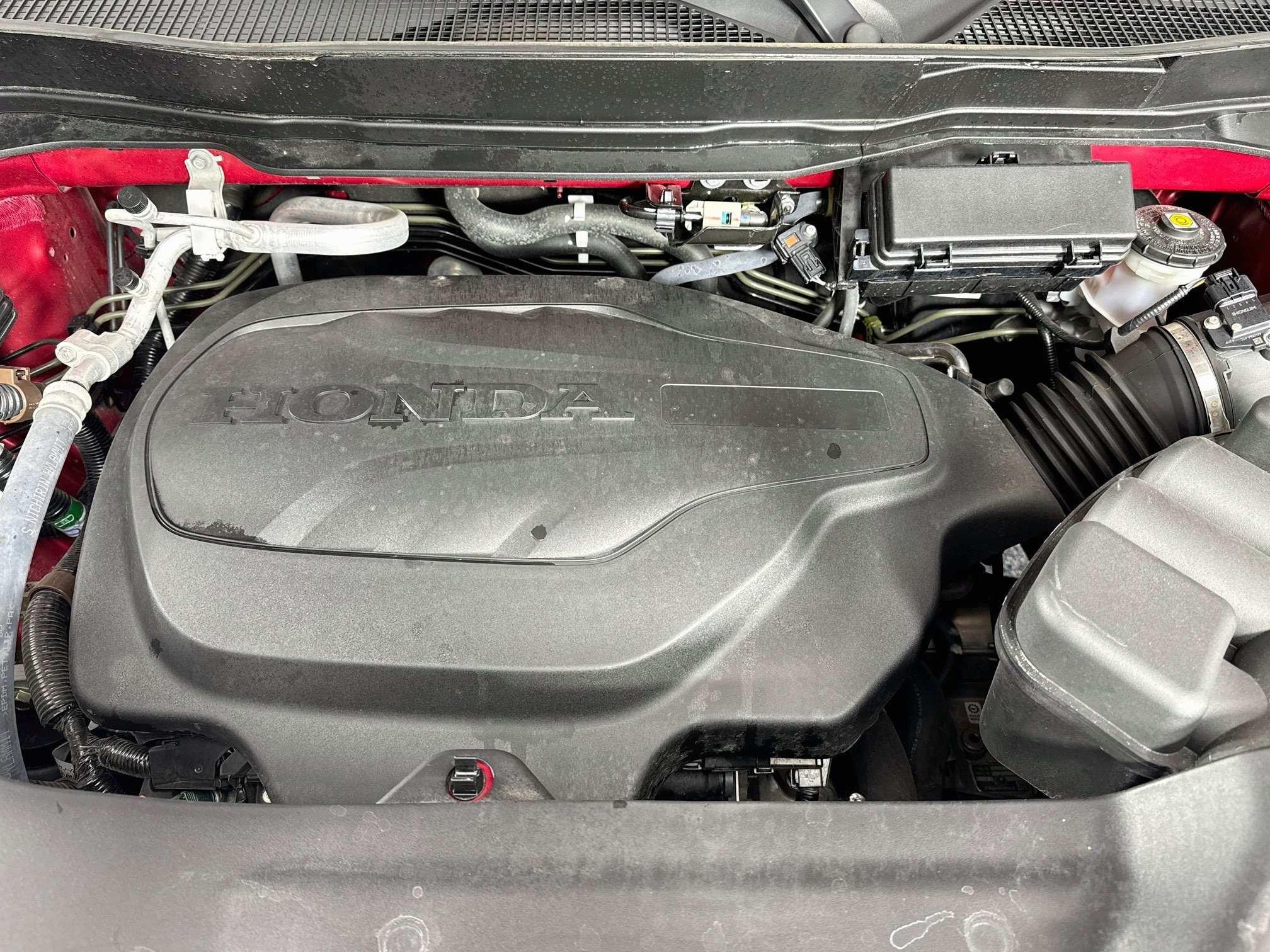 Certified 2024 Honda Ridgeline RTL image 29