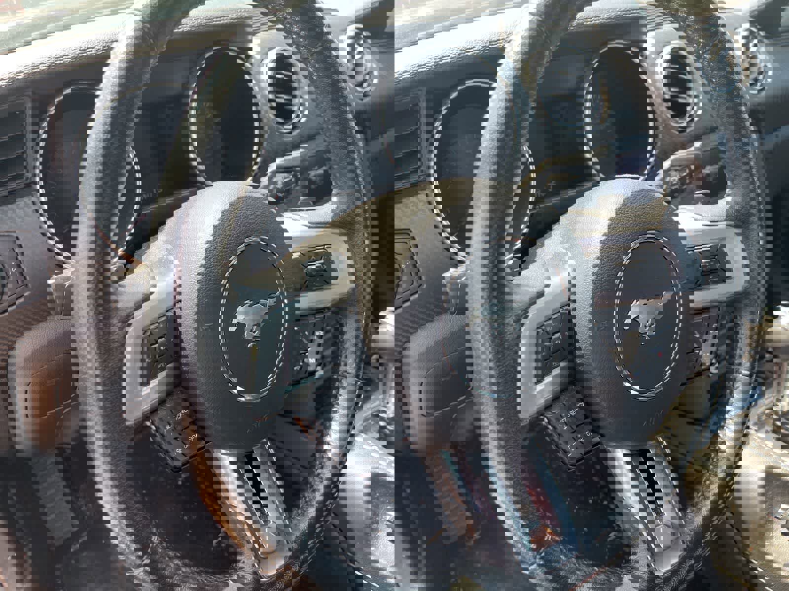 Used 2019 Ford Mustang Coupe RWD image 24