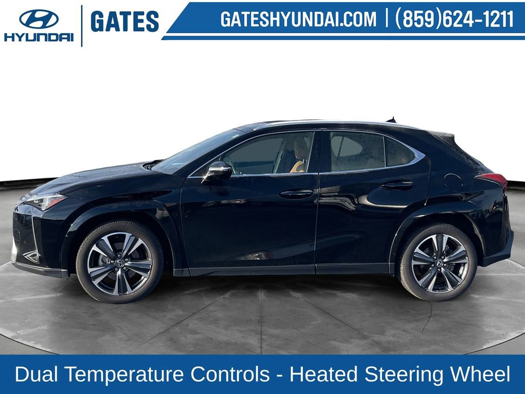Used 2025 Lexus UX 300h AWD w/ Cold Area Package image 6