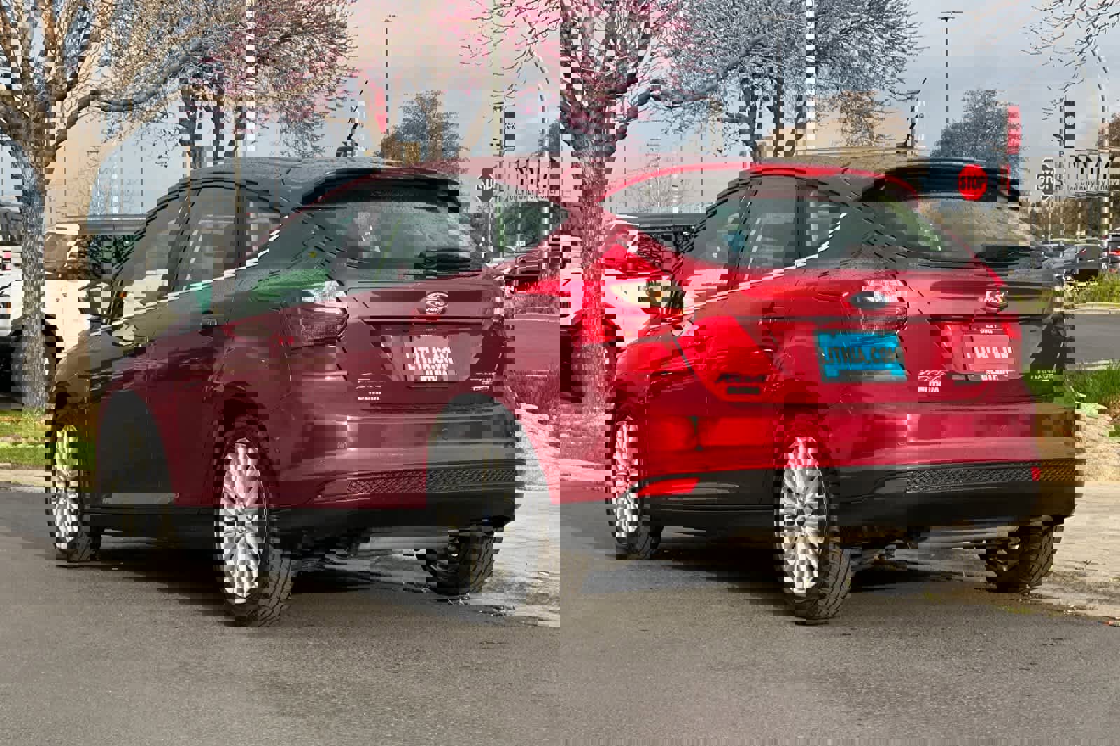 Used 2014 Ford Focus Titanium image 6