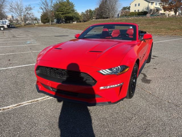 Certified 2019 Ford Mustang Premium w/ Equipment Group 201A image 15
