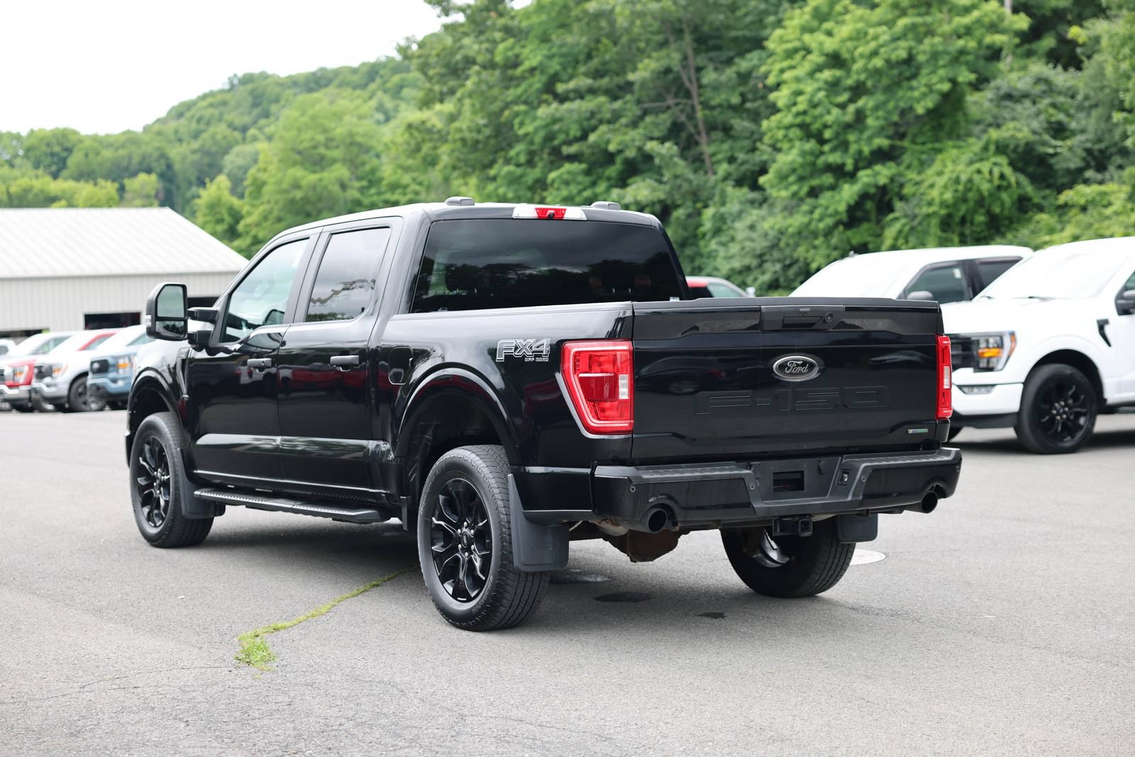 Used 2022 Ford F150 XL w/ STX Black Appearance Package AWD/4WD image 7