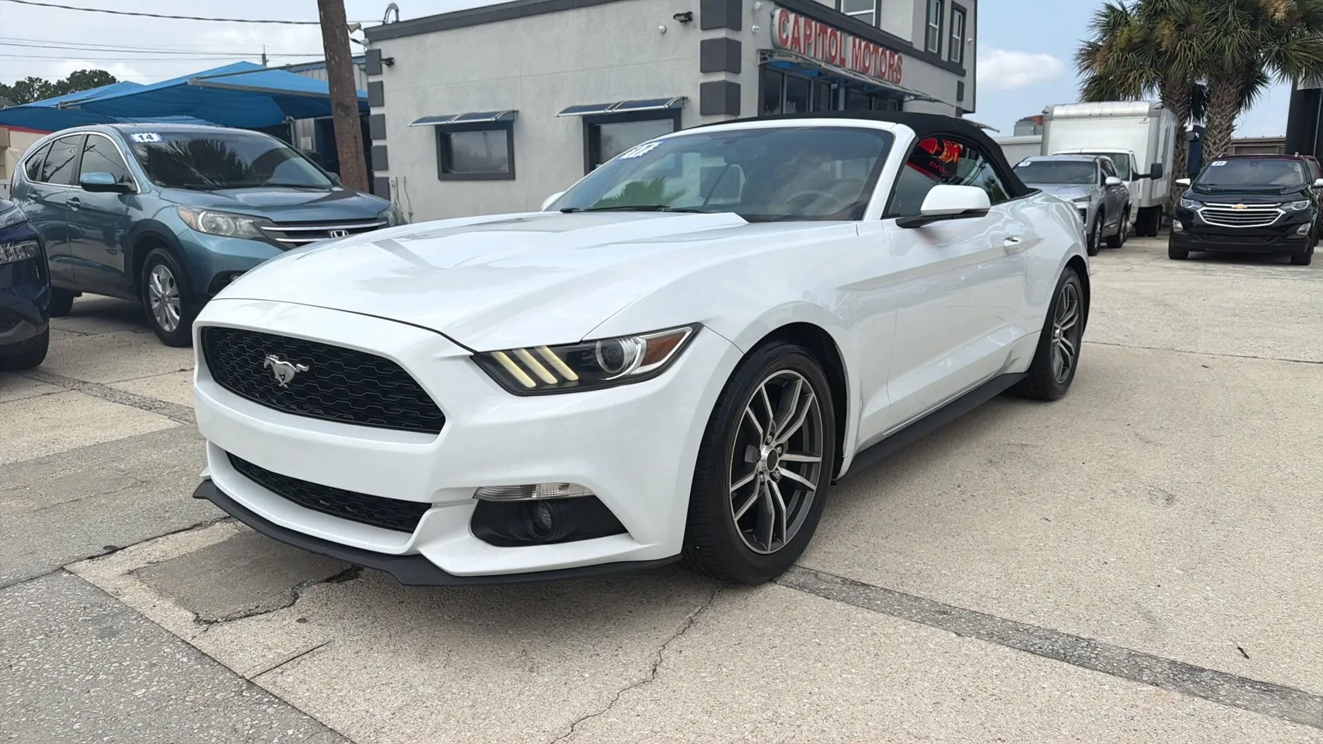 Used 2017 Ford Mustang Premium RWD image 1
