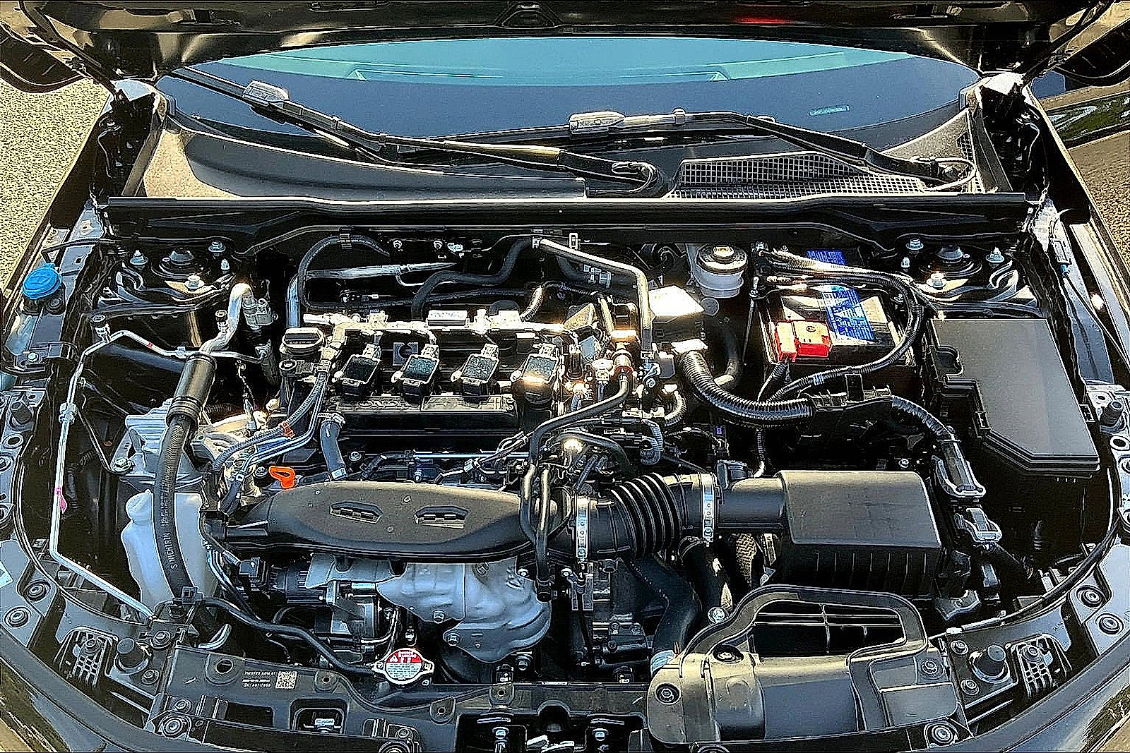 New 2026 Honda Civic Si image 5