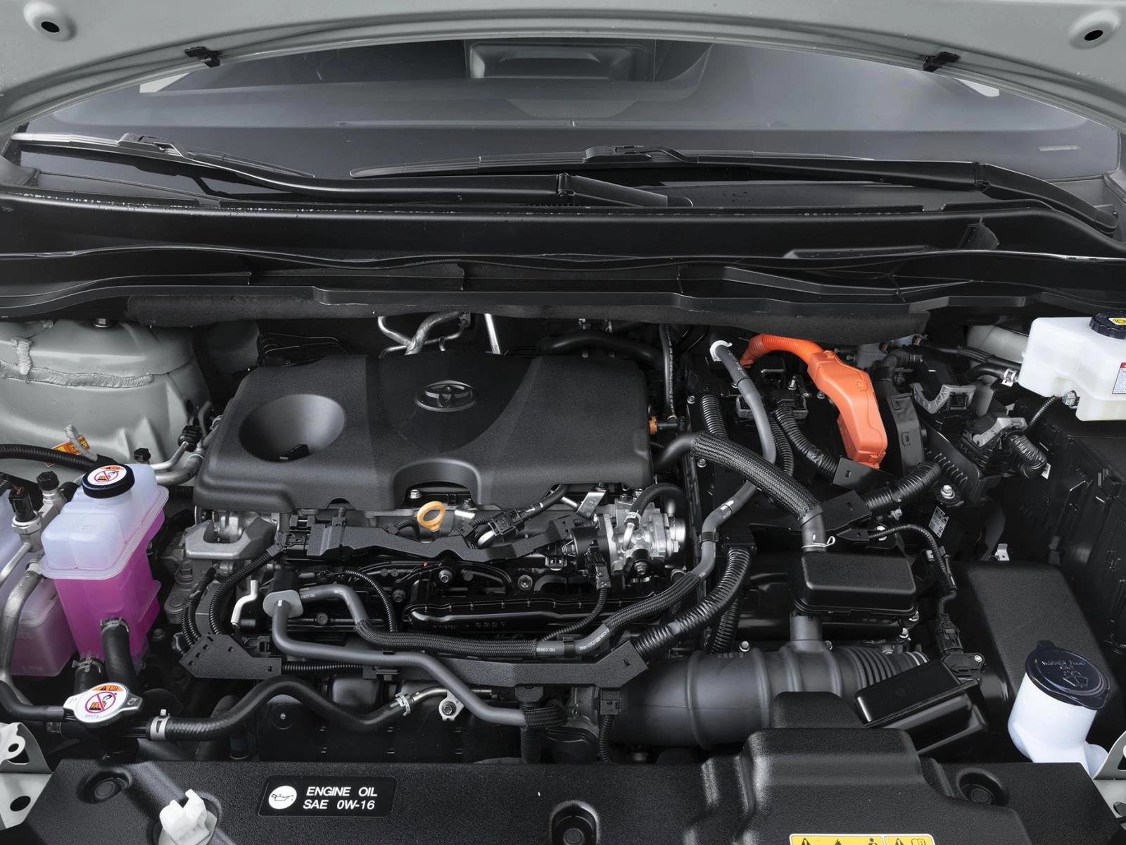New 2026 Toyota Sienna XLE Woodland Edition AWD/4WD image 8