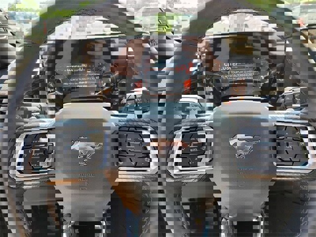 New 2025 Ford Mustang GT image 20