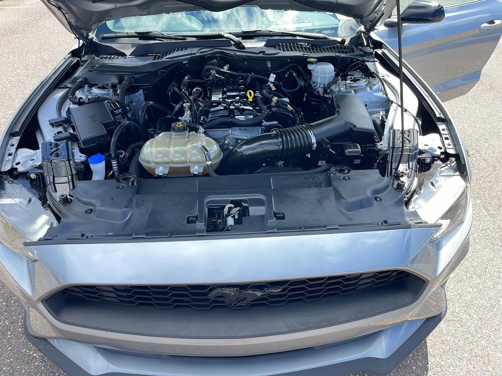 Certified 2022 Ford Mustang EcoBoost w/ Black Accent Package image 30