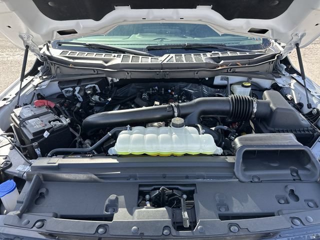 New 2024 Ford F150 XLT w/ Equipment Group 303A High AWD/4WD image 20