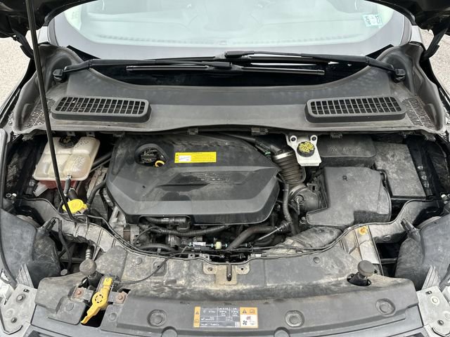 Used 2016 Ford Escape SE w/ Equipment Group 201A AWD/4WD image 19