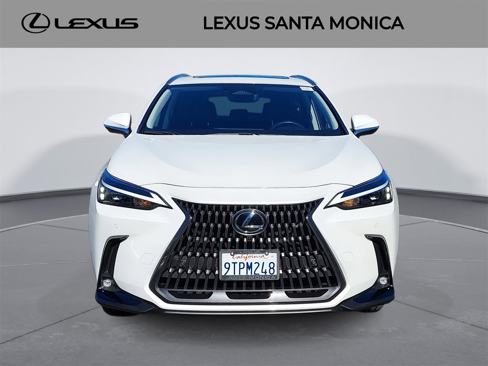 Used 2025 Lexus NX 350h AWD w/ Premium Package image 2