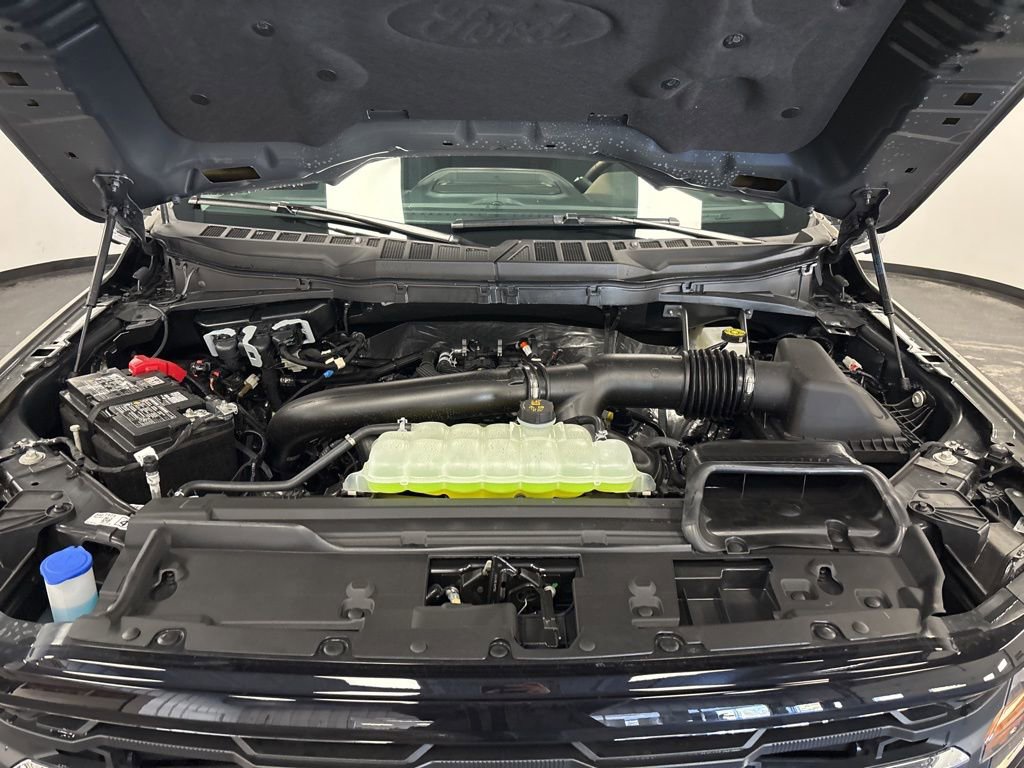 New 2026 Ford F150 XLT w/ Equipment Group 302A MID image 21