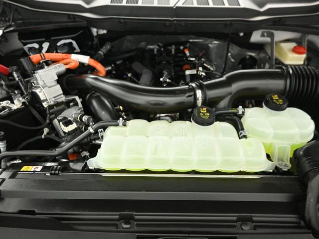 Used 2025 Ford F150 XLT w/ Equipment Group 302A MID image 34