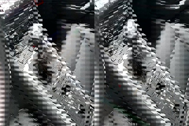 Used 2017 Porsche 911 Carrera 4 image 20