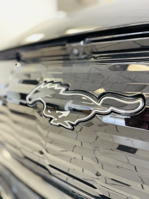 New 2025 Ford Mustang Mach-E GT w/ Interior Protection Package image 18