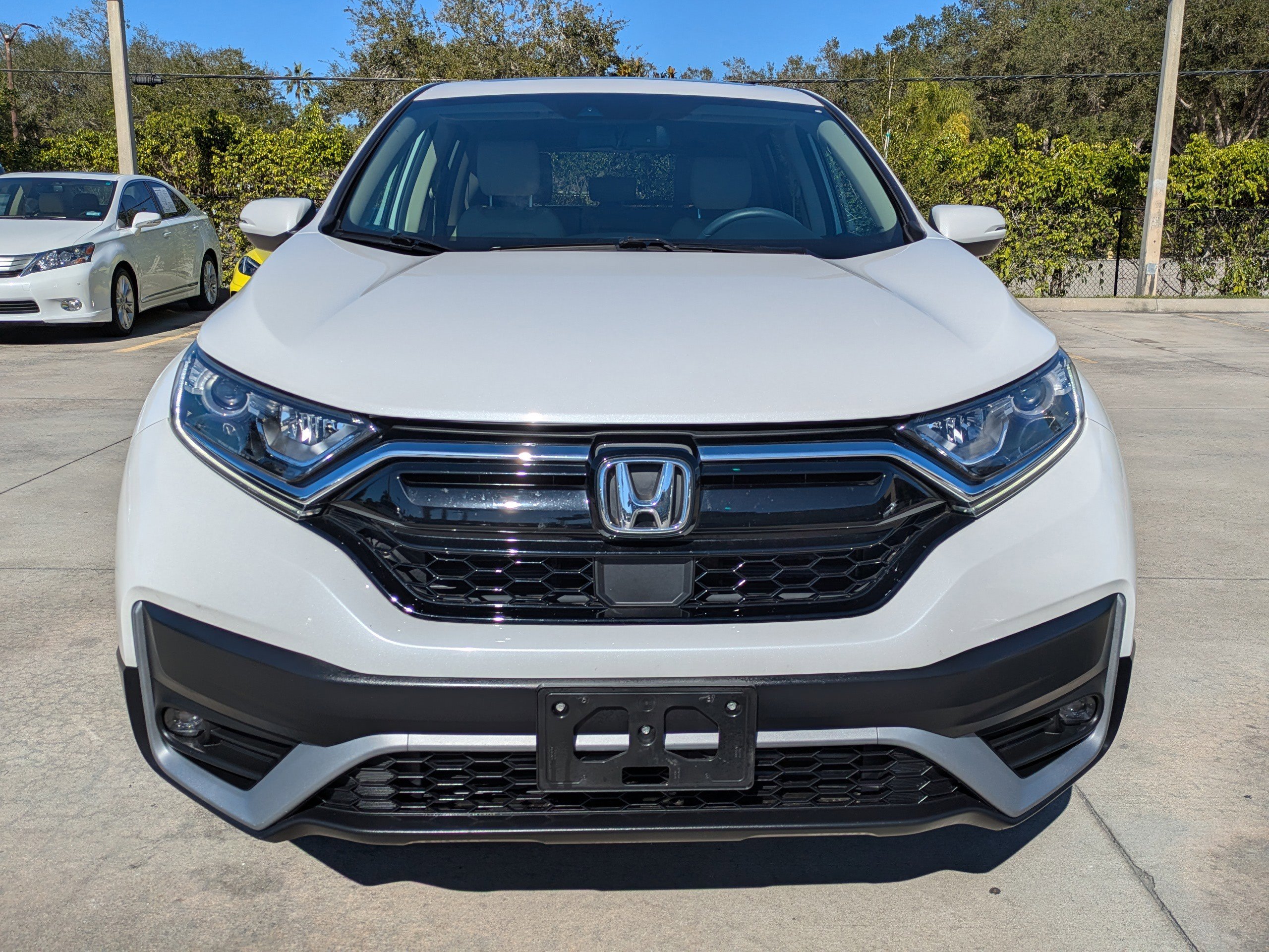 Used 2020 Honda CR-V EX-L image 6