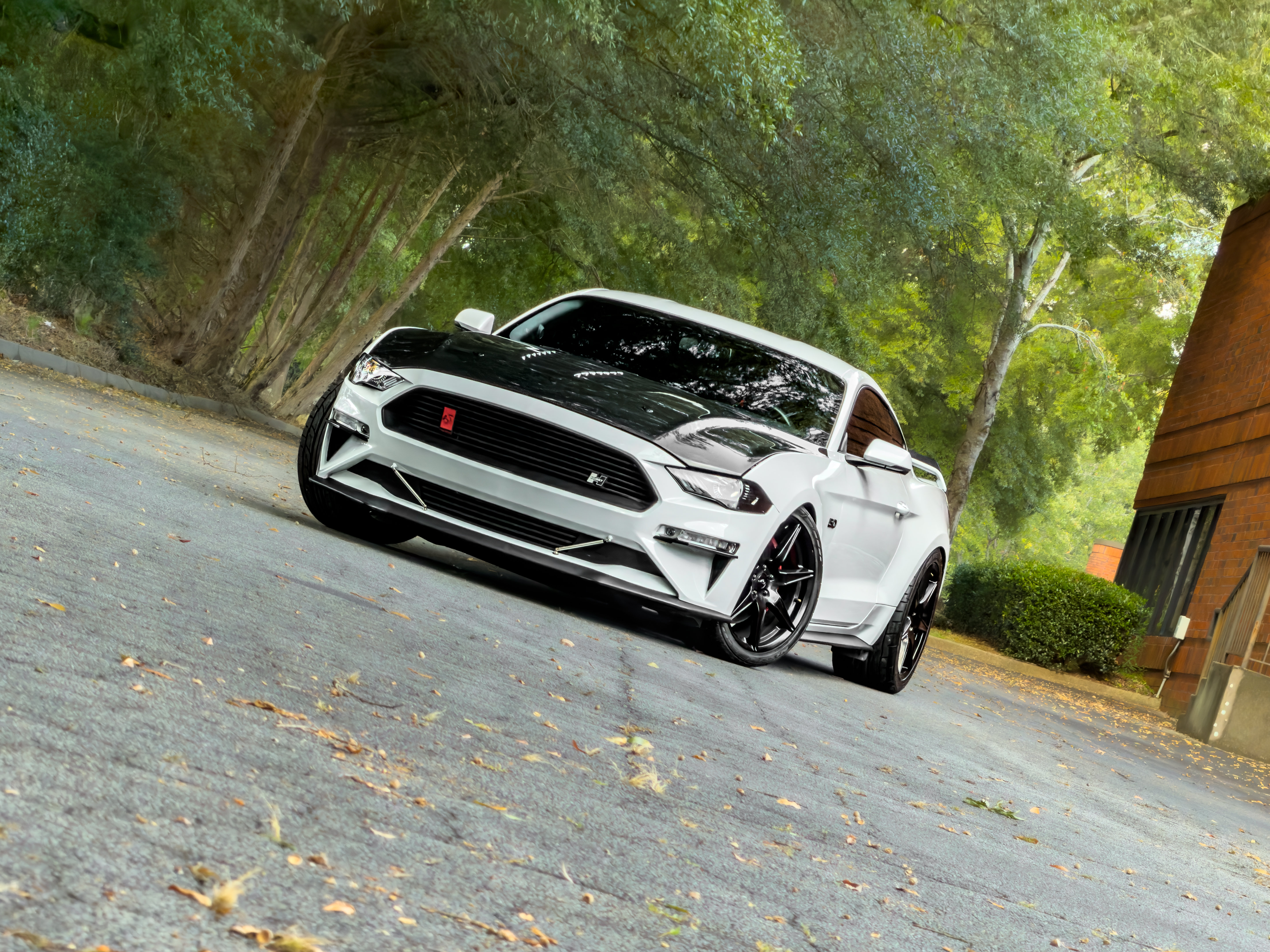 Used 2019 Ford Mustang GT Premium w/ GT Performance Package RWD image 22