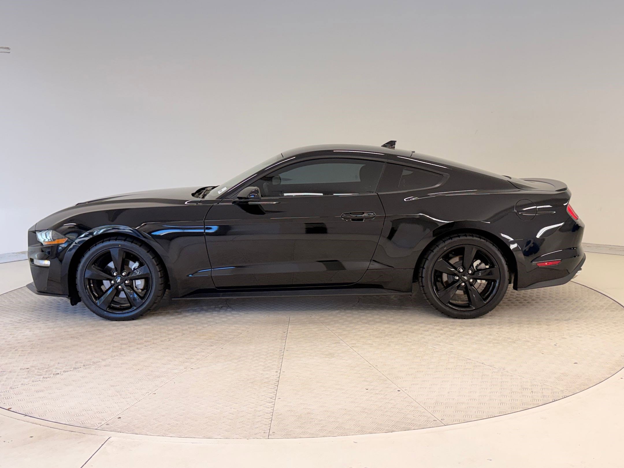 Certified 2023 Ford Mustang EcoBoost w/ Equipment Group 101A image 2
